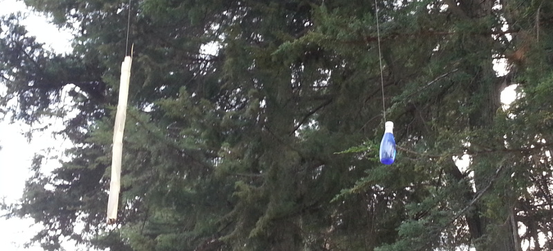 Hanging Bottle
