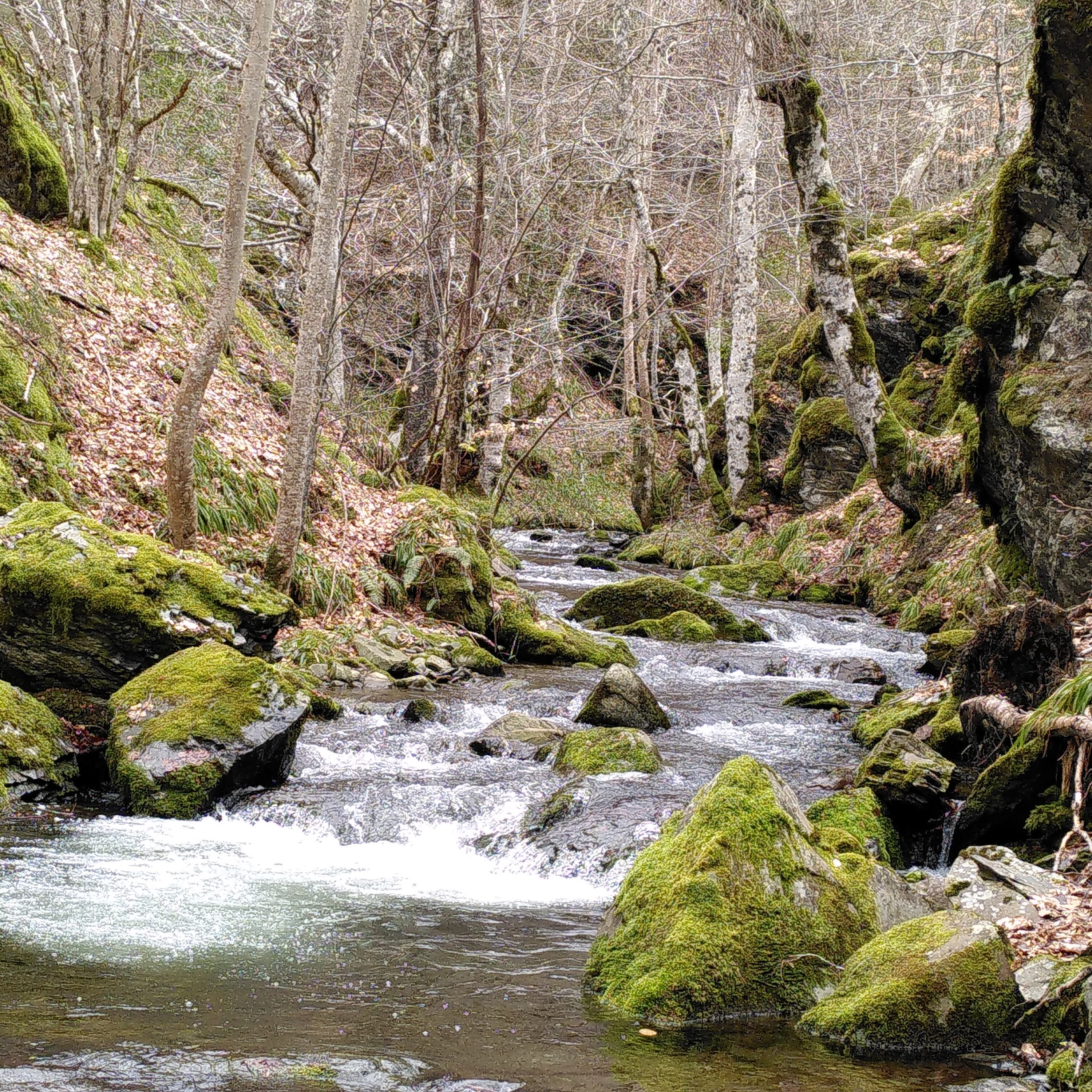 Descent to the picnicking place